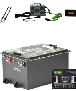 RoyPow 48V 56Ah Lithium Battery (S5156)